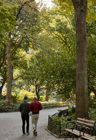 Madison Square Park nyc Forest Bathing Nancy Kopans Urbane Edge Forest Therapy